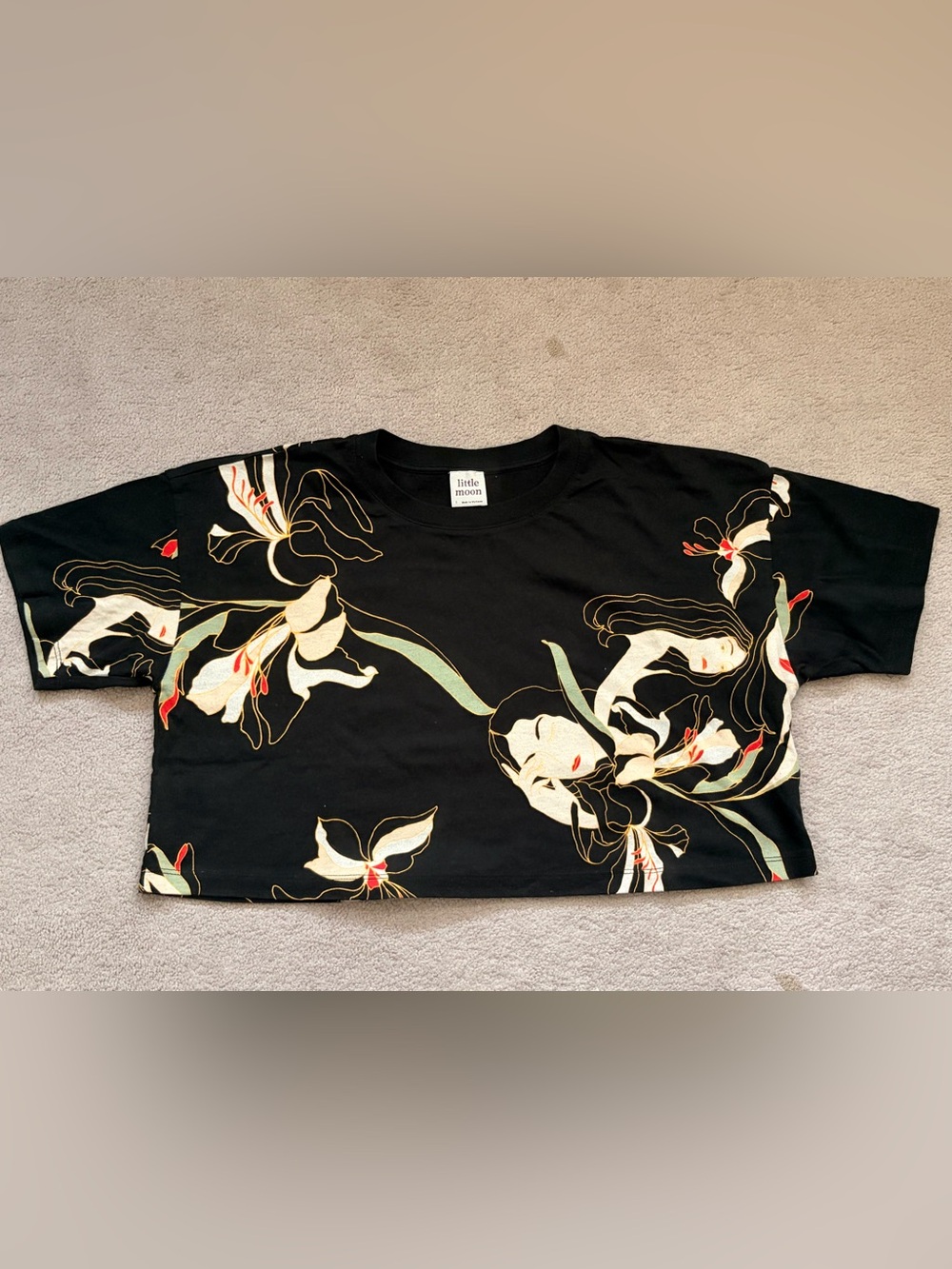 Aritzia Little Moon Cropped T shirt